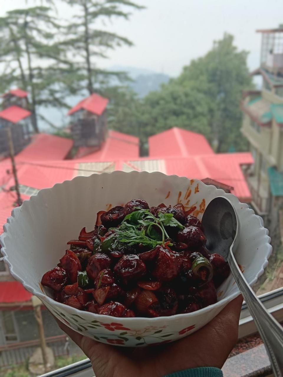 Hotel Jakhu Heights Shimla Ngoại thất bức ảnh