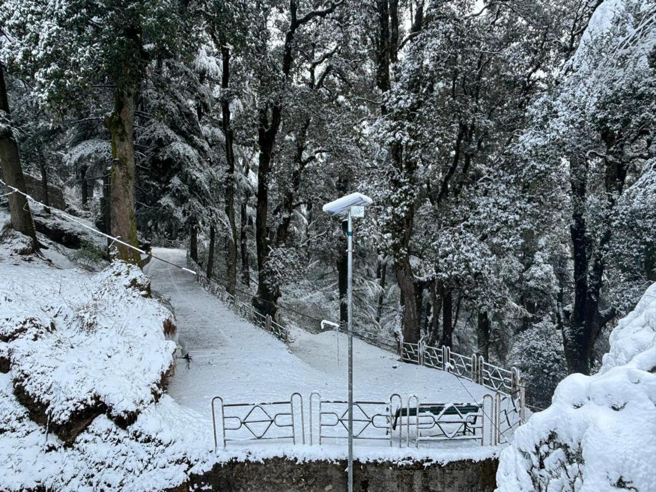 Hotel Jakhu Heights Shimla Ngoại thất bức ảnh
