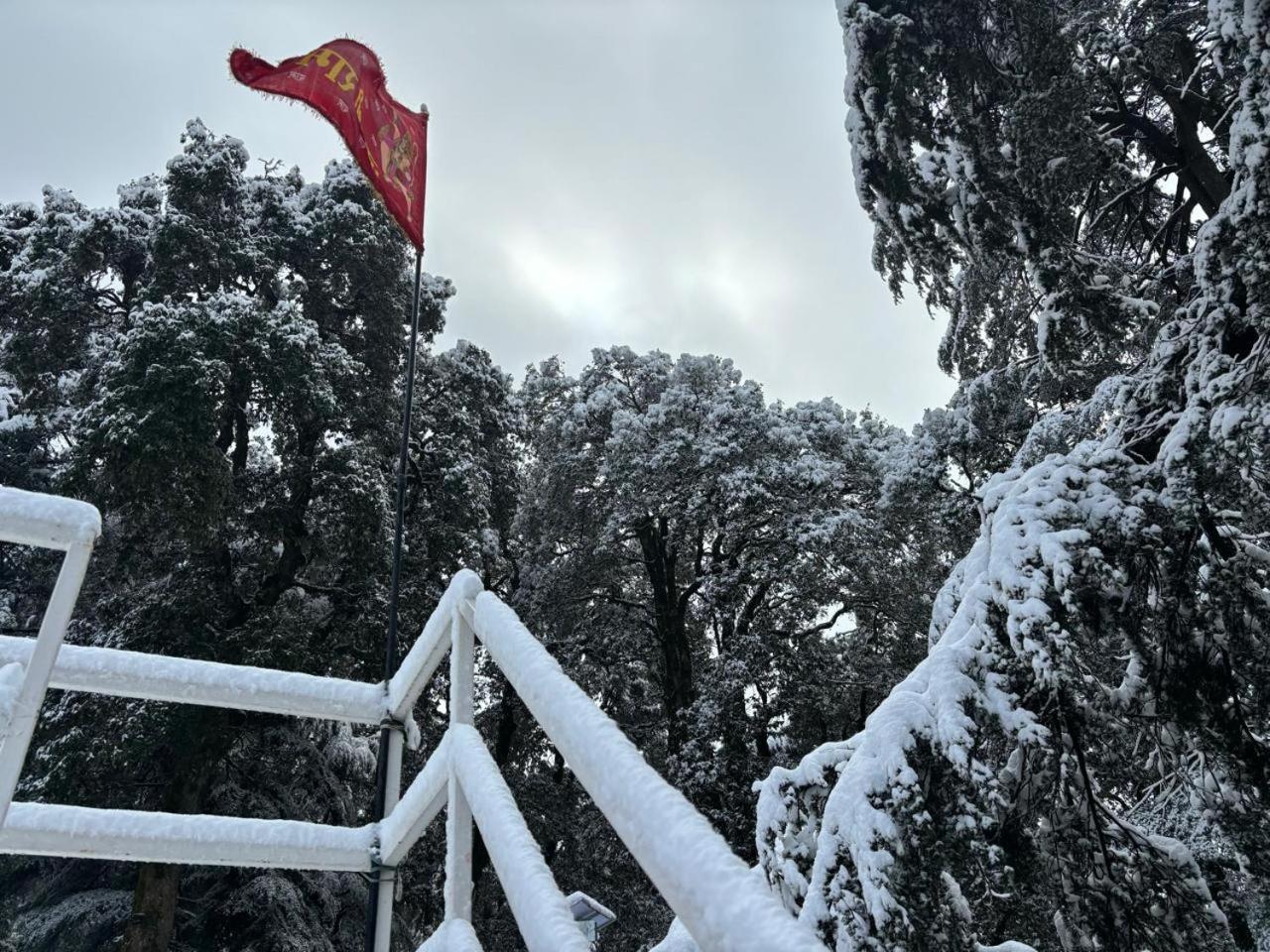 Hotel Jakhu Heights Shimla Ngoại thất bức ảnh
