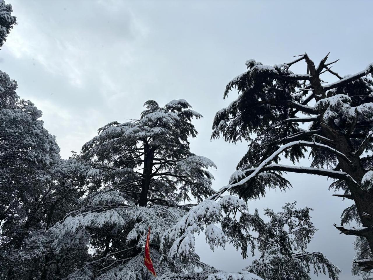 Hotel Jakhu Heights Shimla Ngoại thất bức ảnh